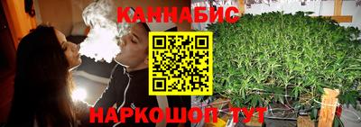гашик Берёзовский