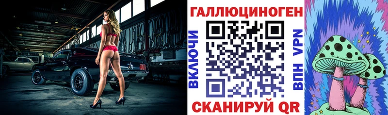 наркотики  Георгиевск  Галлюциногенные грибы Psilocybe 