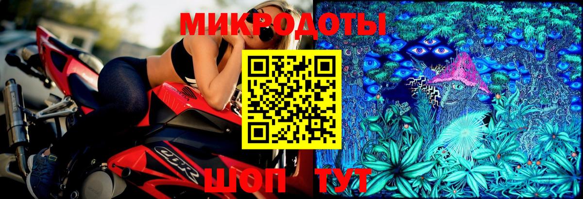 Псилоцибиновые грибы Psilocybe Георгиевск