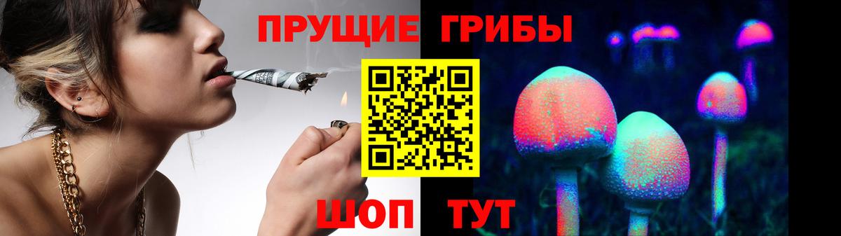 Псилоцибиновые грибы мухоморы  Вход с VPN  Георгиевск 